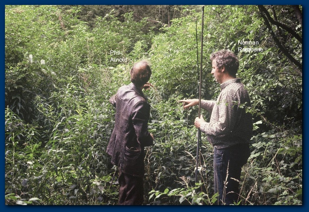 600x404 pixels (192K)